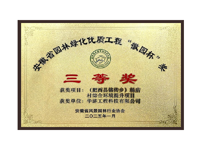 六安荣获2025“徽园杯”奖三等奖